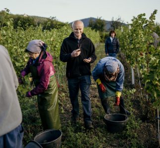 Weingut Heiner Sauer