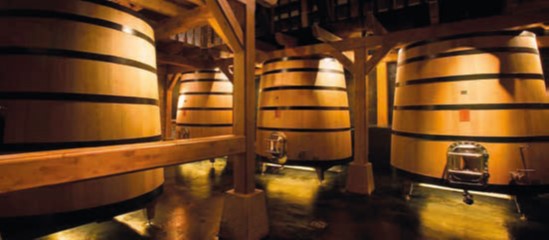Bodegas Izadi