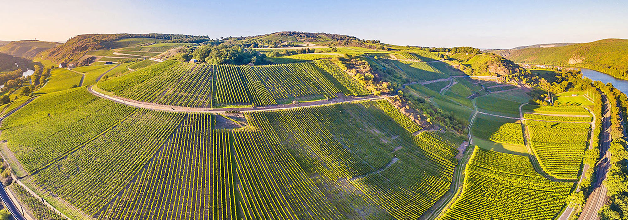 Weingut
Jakob Schneider