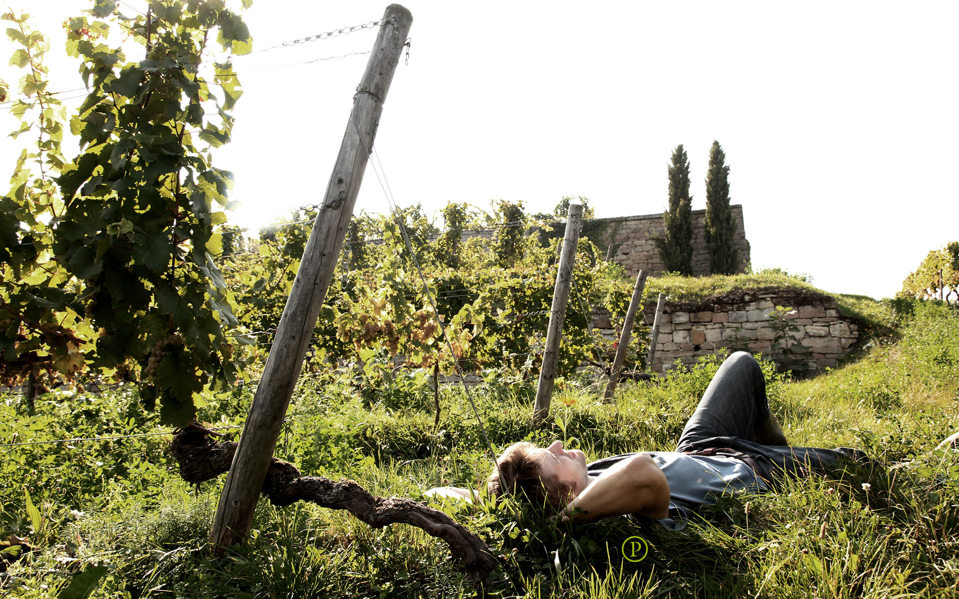 Weingut Pflüger