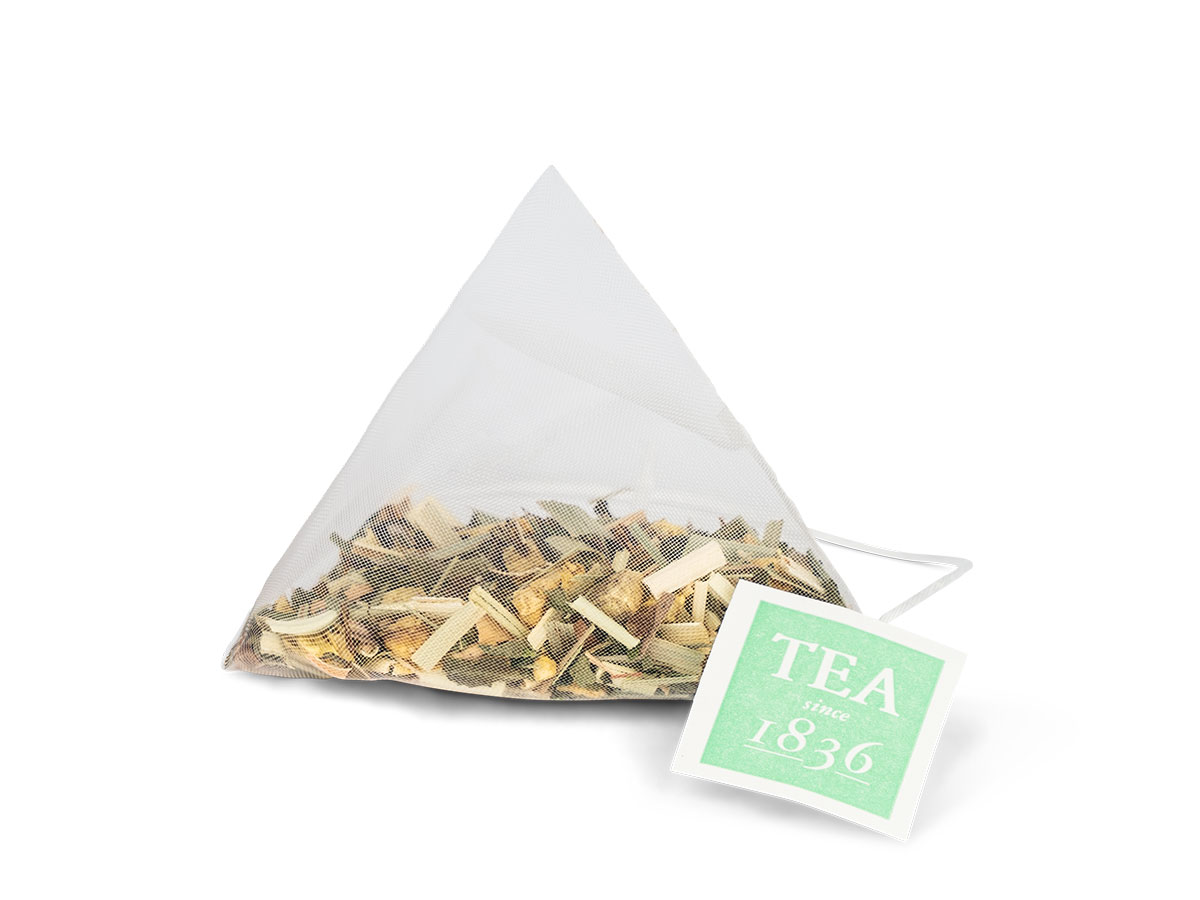 D & B - Kräutertee Ingwer-Fresh - 15 Pyramidenbeutel