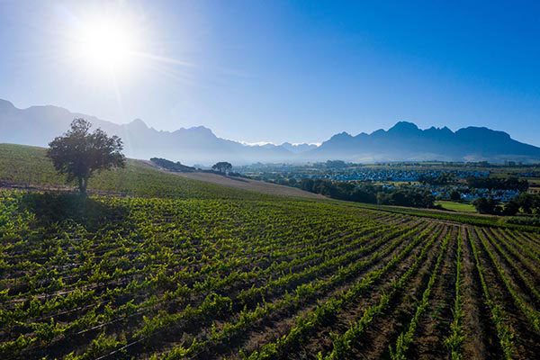 Kleine Zalze
